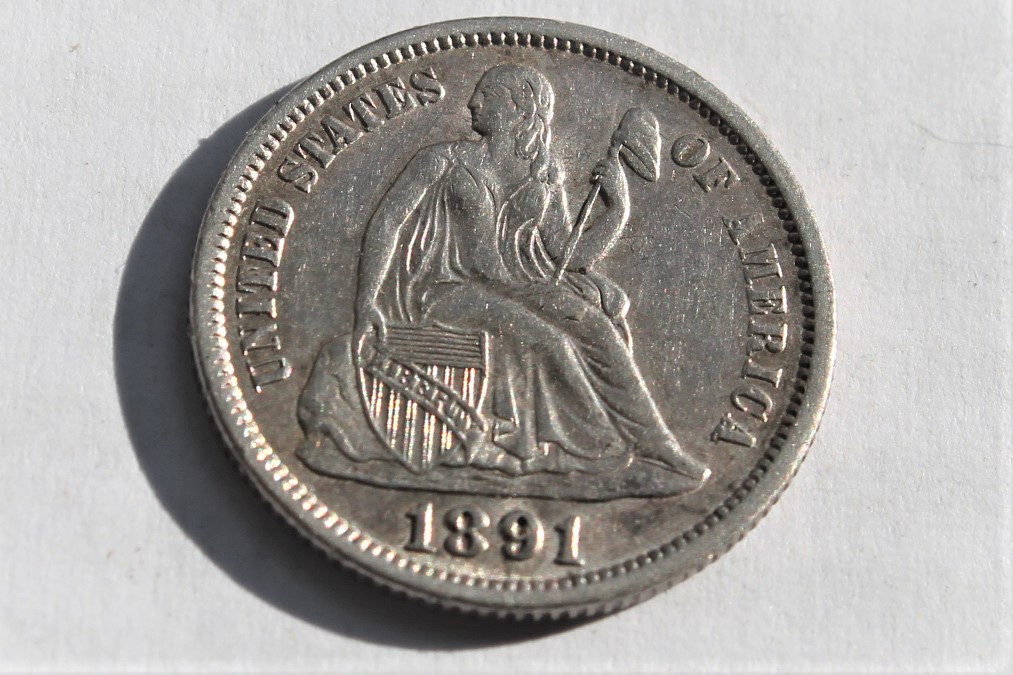 1891-Seated-Liberty-Dime!-Repunched-Date?-Grading-Opinion!