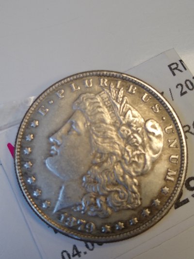 Fake-Morgans?-I-Think-So-.