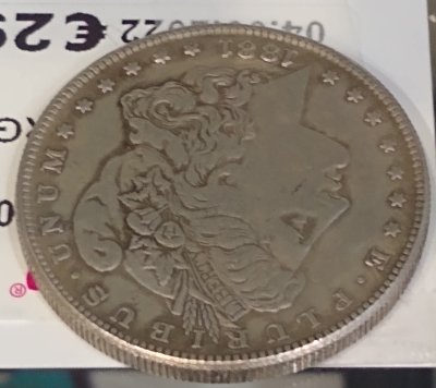 Fake-Morgans?-I-Think-So-.