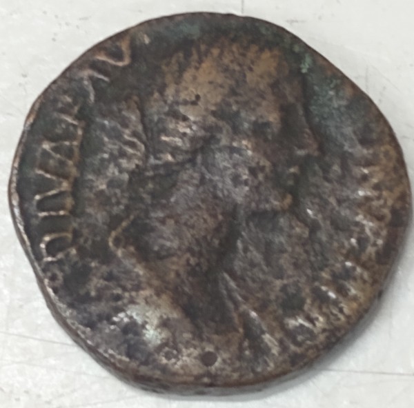 Some-Ancients-I-Saw-At-A-Shop-Today.