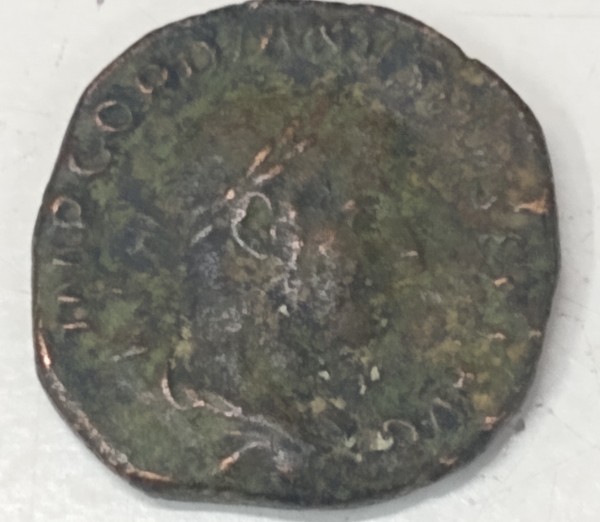Some-Ancients-I-Saw-At-A-Shop-Today.