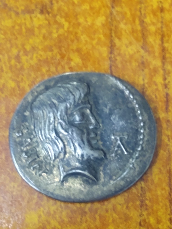 Titurius-Denarius---Sabine---Fake?