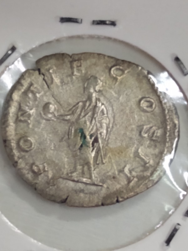 Types-Of-Ancients-I-See-At-Non-Ancient-Dealer-Shops-In-Rome