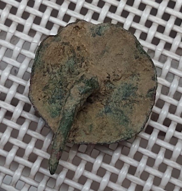Roman-Pin-Or-Military-Button?