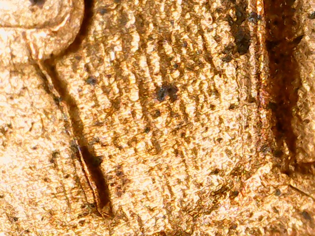 1984-D-LMC-Struck-Through-Grease?-Possible-RPM?