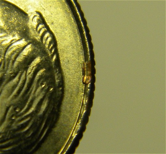 2017-P-Roosevelt-Dime--Copper-Cud-On-Rim?