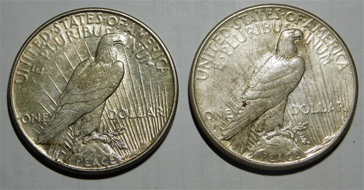 Continuing-List-To-Show-Everyones-Latest-Acquisitions