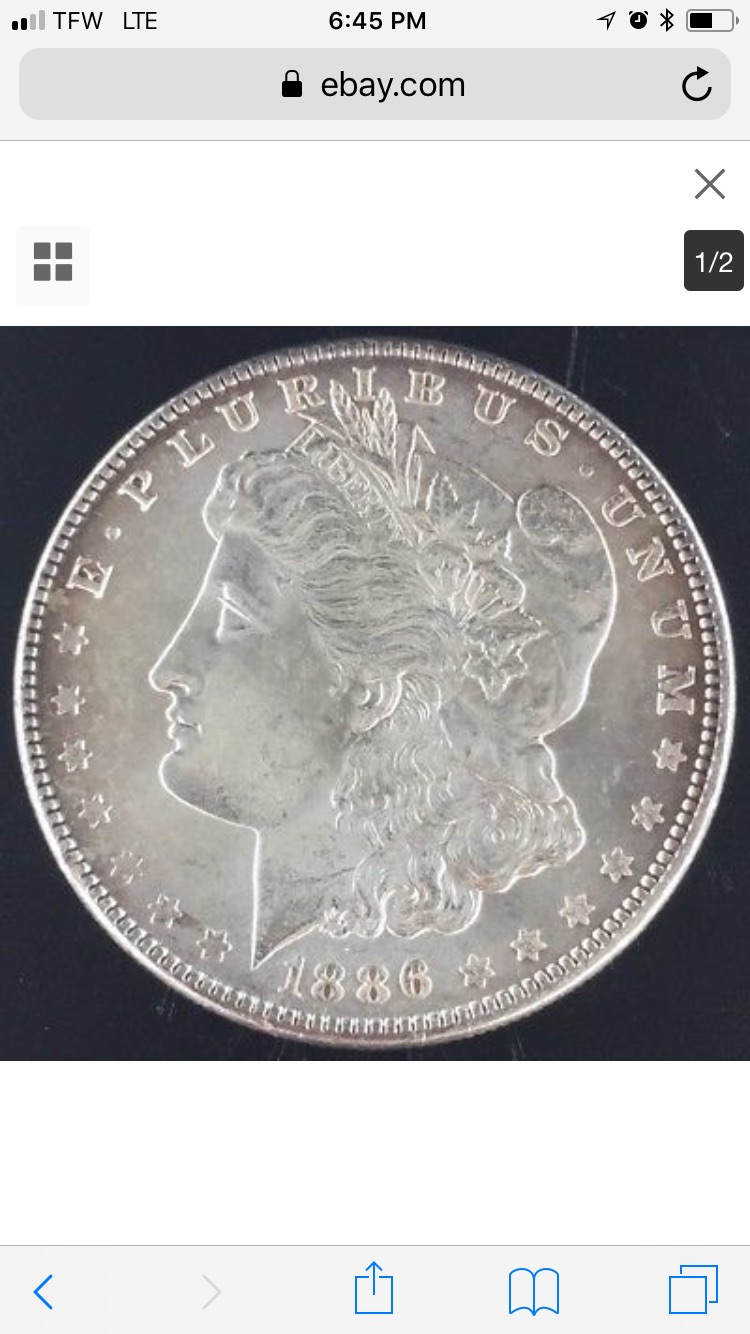 1886-P-Morgan-What�s-It�s-Grade?