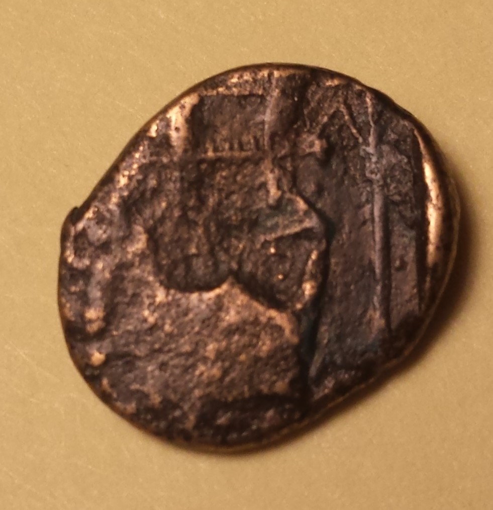 Help-With-Identification-#3