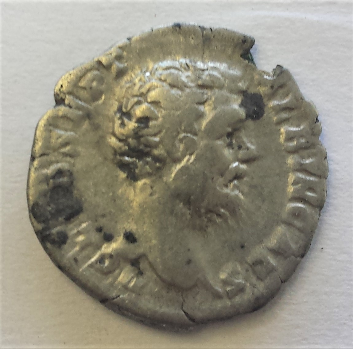 Verification-Of-Clodius-Albinus-Denarius
