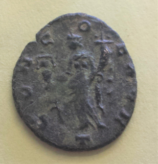 Why-Can't-I-Find-The-Legend-Beginning-With-Impquietus--Quietus---Photos
