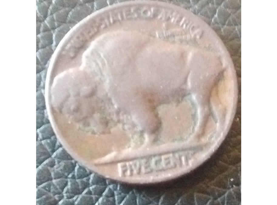 1913-Buffalo-Nickel---Found-In-The-Wild