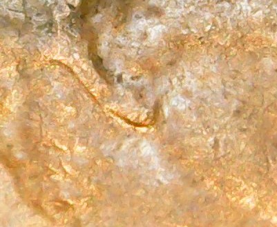 1971-N/M--Lincoln-Penny-Is-This-Considered-A-DDO/Ddr
