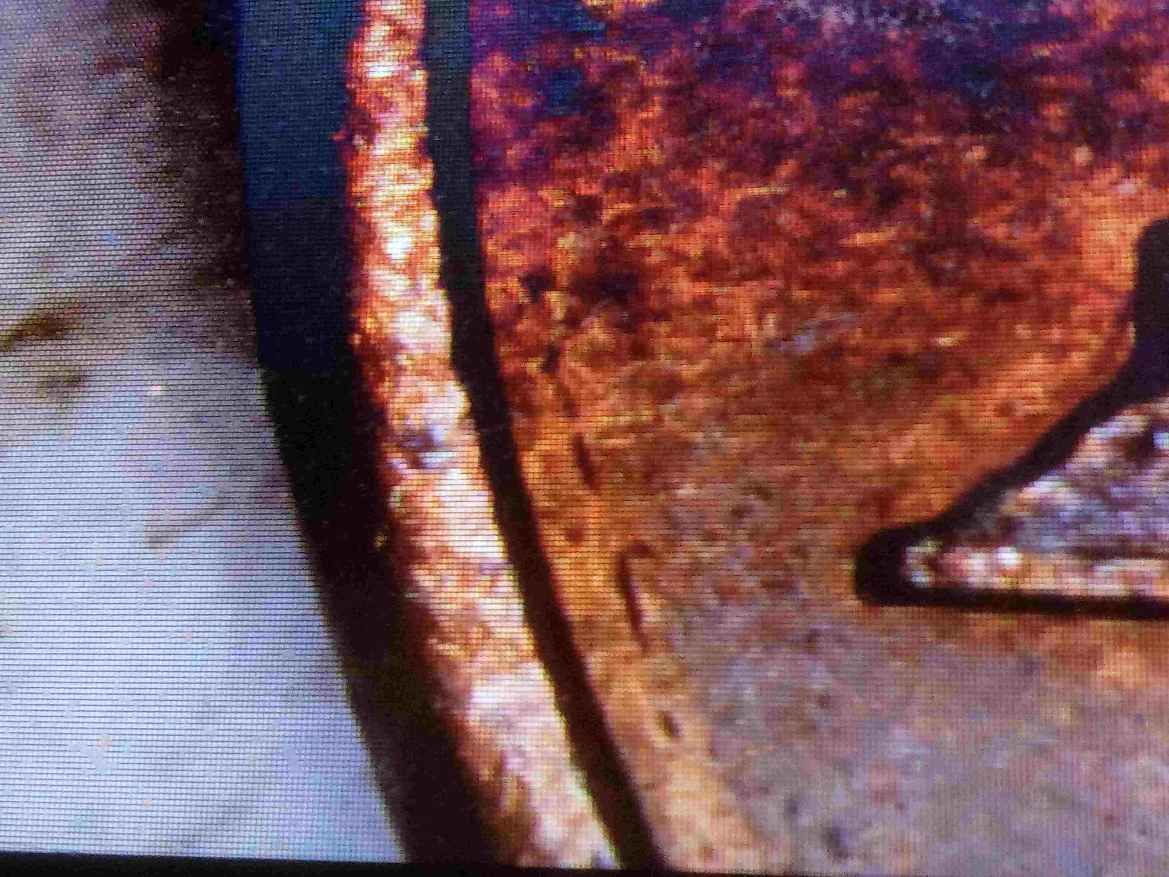 1989-Philadelphia-Mint-Mark-Lincoln-Cent.-Possible-Mule?
