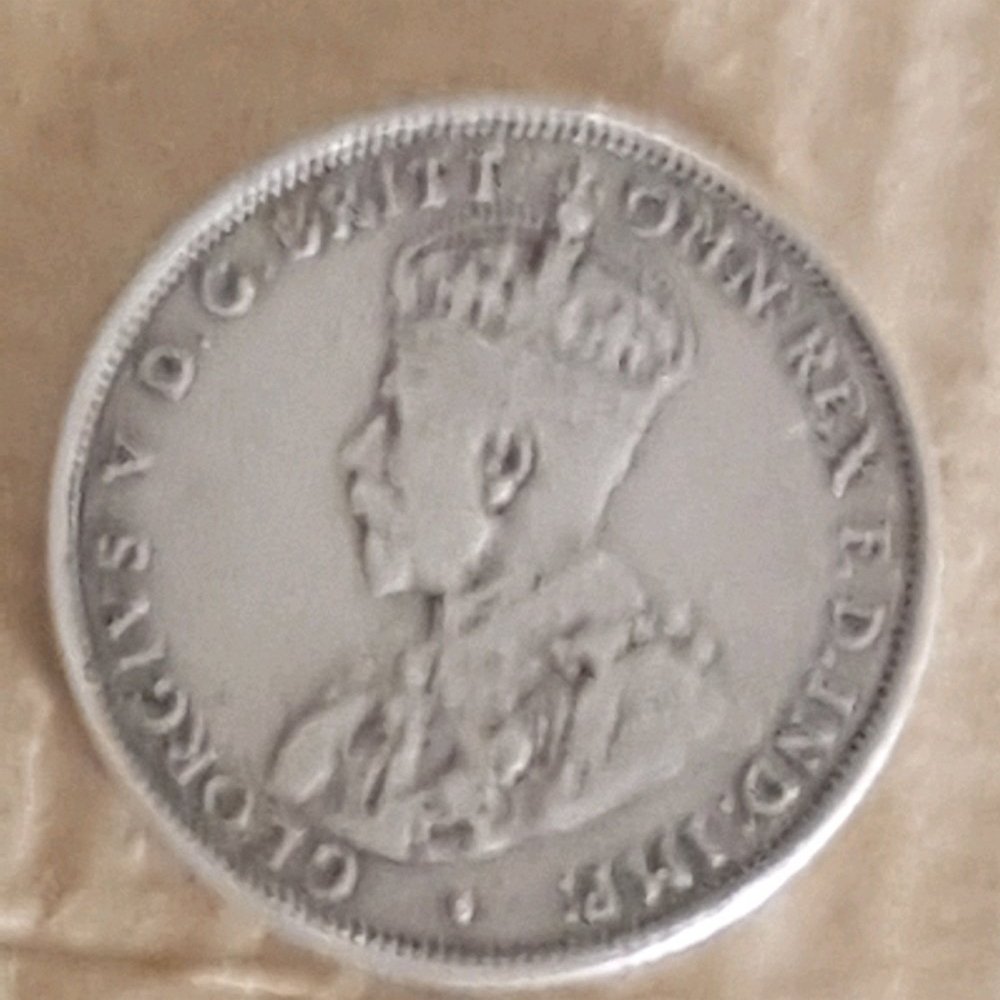 Need-Some-Help-Grading-This-1932-Florin/Authentic