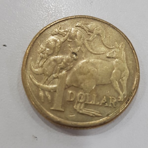 Post-Your-Australian-Circulation-Finds