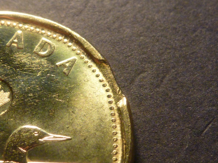 2018-Loon-Dollar-Error
