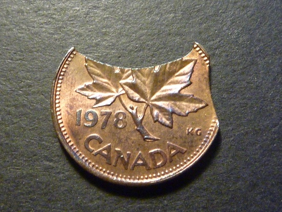 Cool-And-Sometimes-Crazy-Doubled-Clipped-Canadian-Errors
