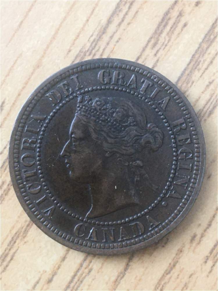 1882-Large-Cent-For-Grading