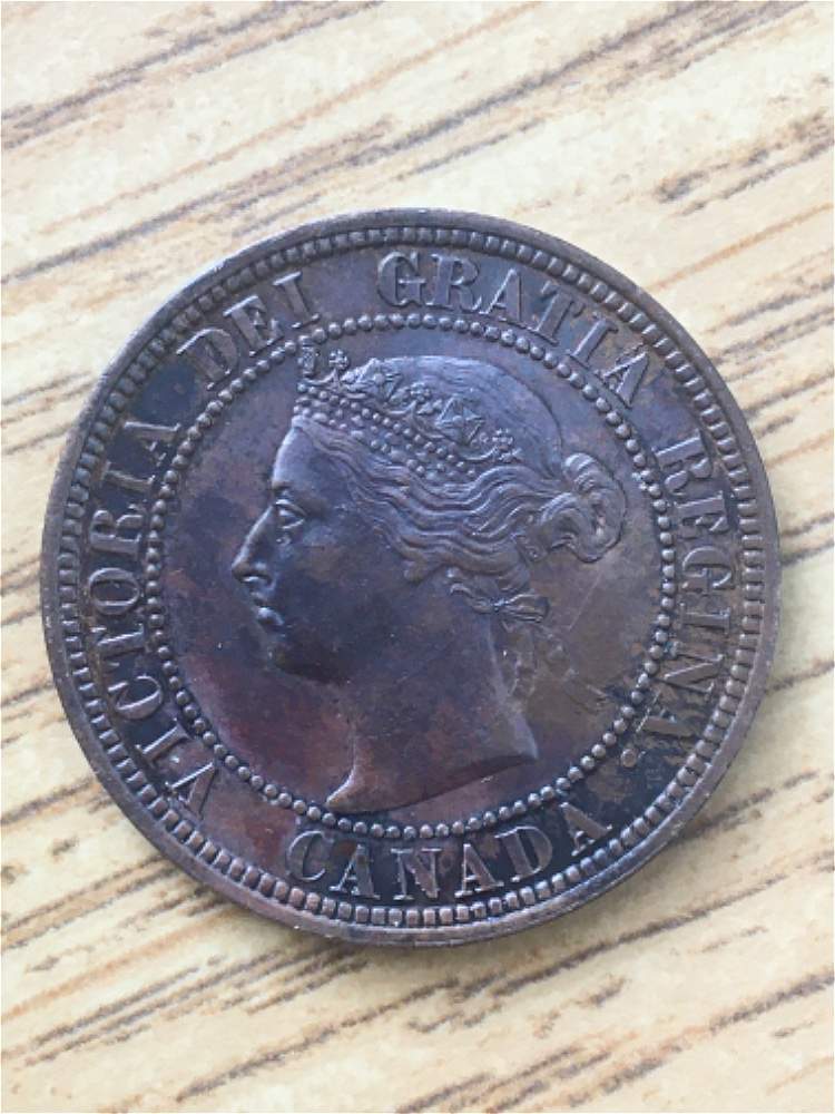 1882-Large-Cent-For-Grading
