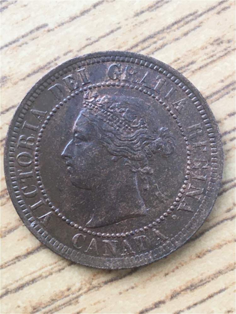 1886-Large-Cent-For-Grading