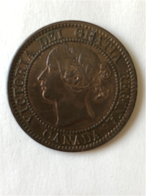 Please-Grade-This-1859-Large-Cent