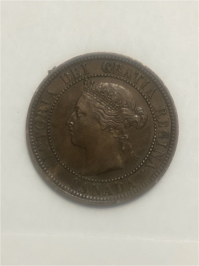 Please-Grade-This-1888-Large-Cent