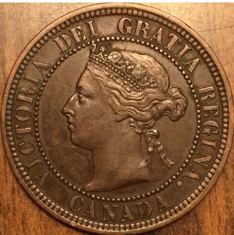 Please-Grade-This-1882-Large-Cent