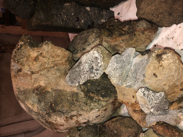 Back-Yard-Treasure-Or-Not-?