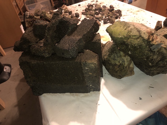 Back-Yard-Treasure-Or-Not-?