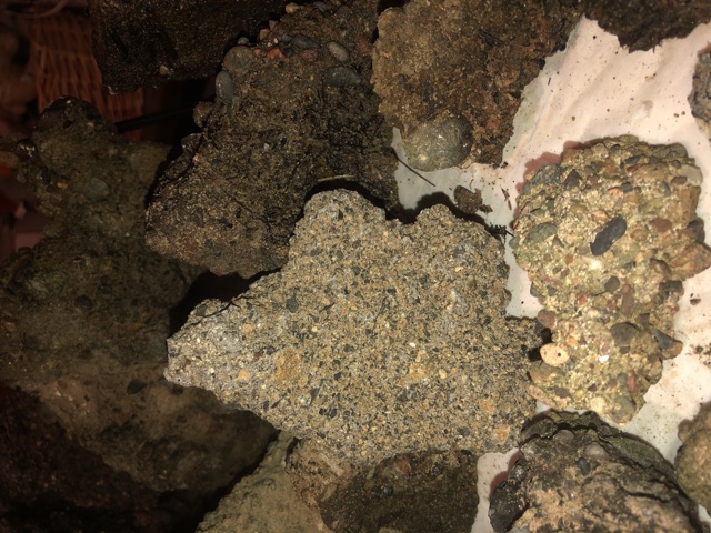 Back-Yard-Treasure-Or-Not-?