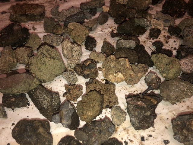 Back-Yard-Treasure-Or-Not-?
