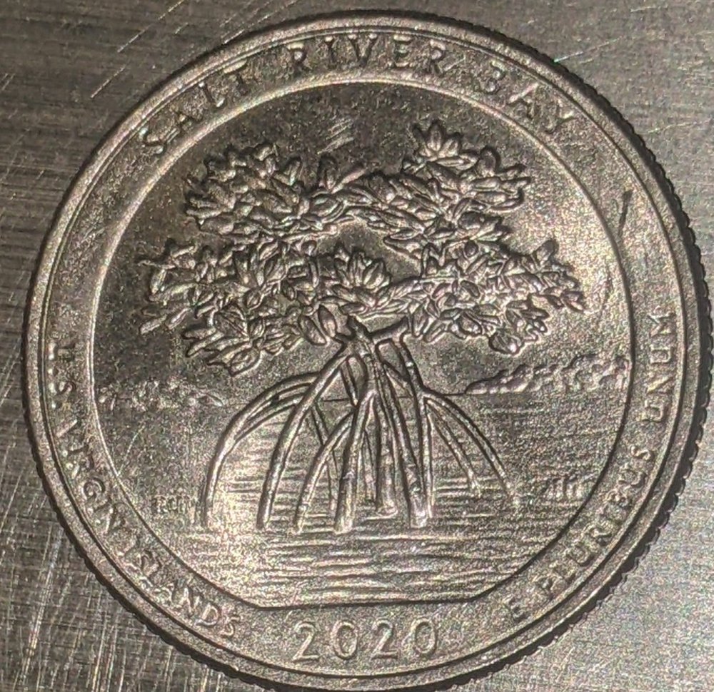 2020-Quarter-With-Fuzzy-Finish-Is-This-A-Mint-Error