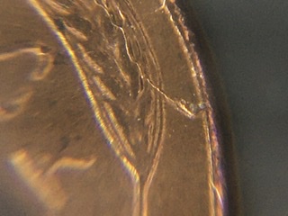 1955-Ie-Wheat-Penny-With-No-Vbd-Extra-Leaf-On-Reverse-&-Cuds