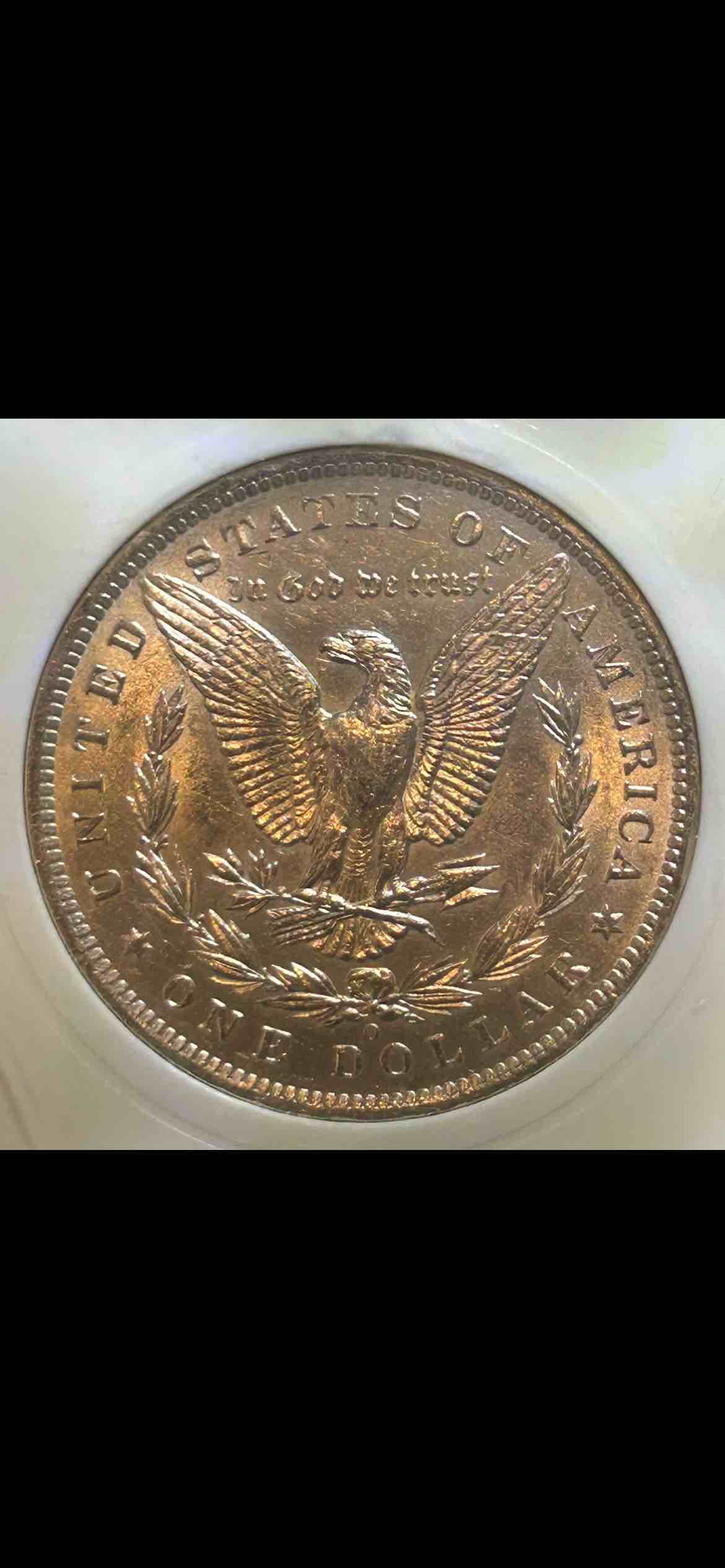Needing-Advice-On-Grading-Morgan-Dollars
