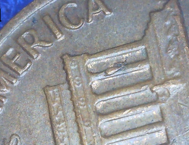 1972-D-Penny-With-Die-Gouge?
