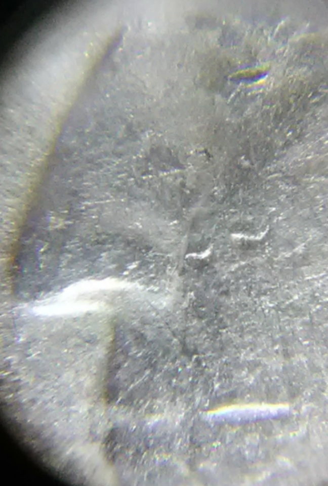 1977-Washington-Quarter