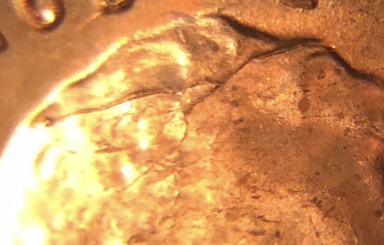 1958-LWC---Cracked-Skull-Error-Vein