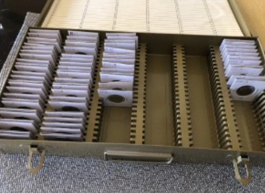 What-Types-Of-Wood-Are-Safe-For-Coin-Storage?