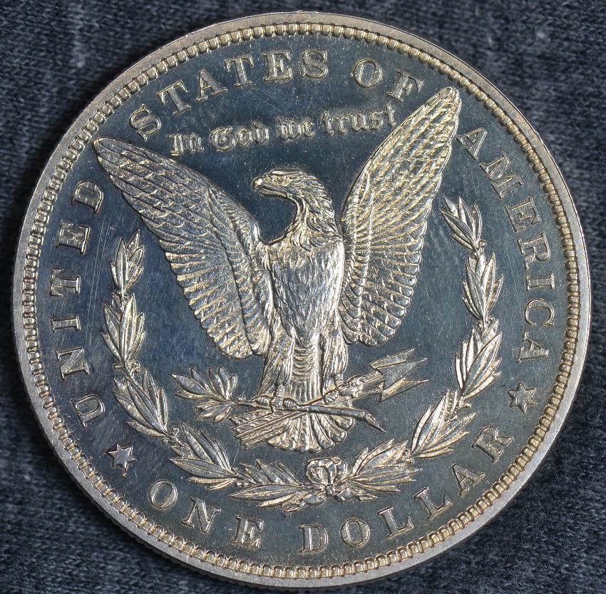 I-Picked-Up-Another-Morgan-Dollar-1887.