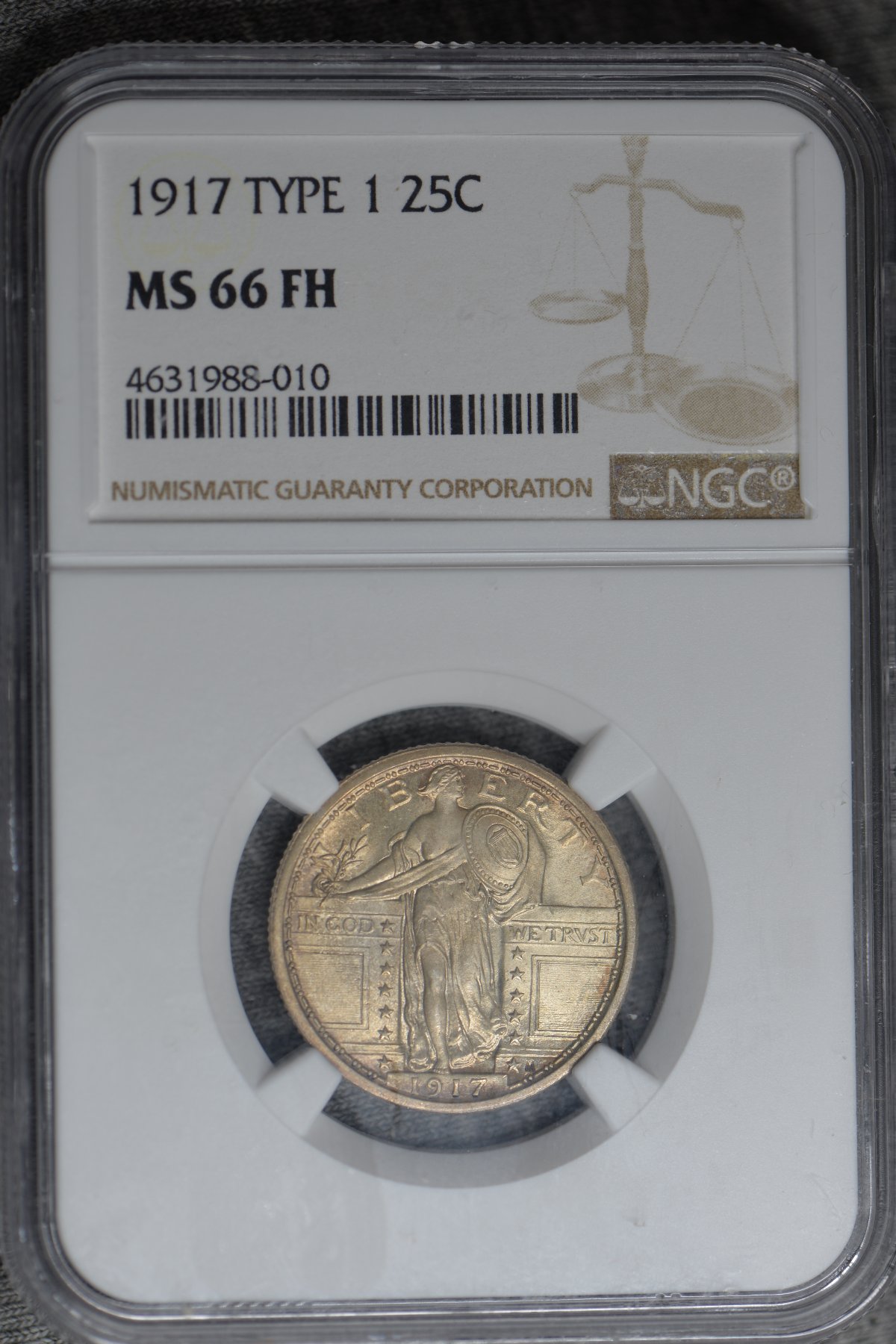 1917-Type-1-Standing-Liberty-Quarter.-You-Vs-NGC.