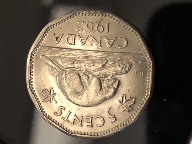 Coins-That-I've-Found.--I-Would-Like-Some-Opinions-On-Please-Help