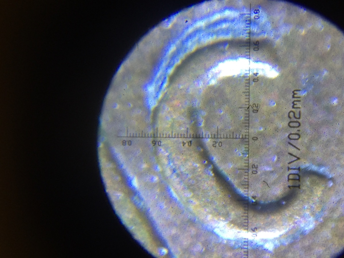 1989-P-Possible-Mint-Error-On-The-Reverse.