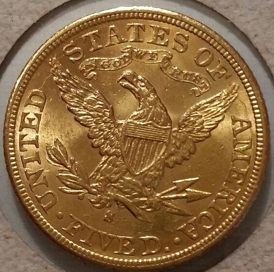 1901-S-$5-For-Grading-More-Pictures-Of-Hair-Detail