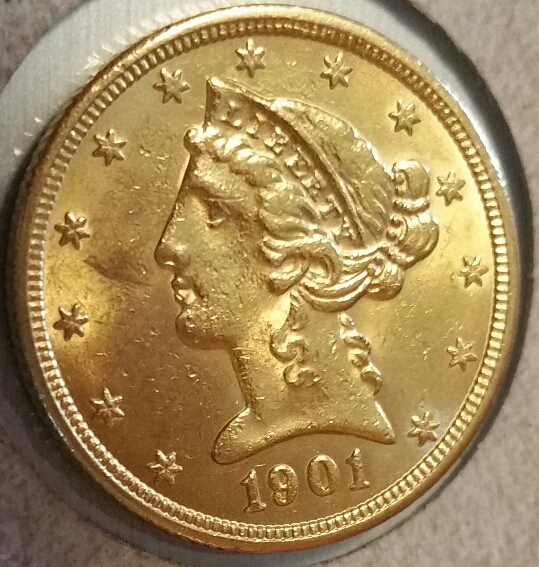 1901-S-$5-For-Grading-More-Pictures-Of-Hair-Detail