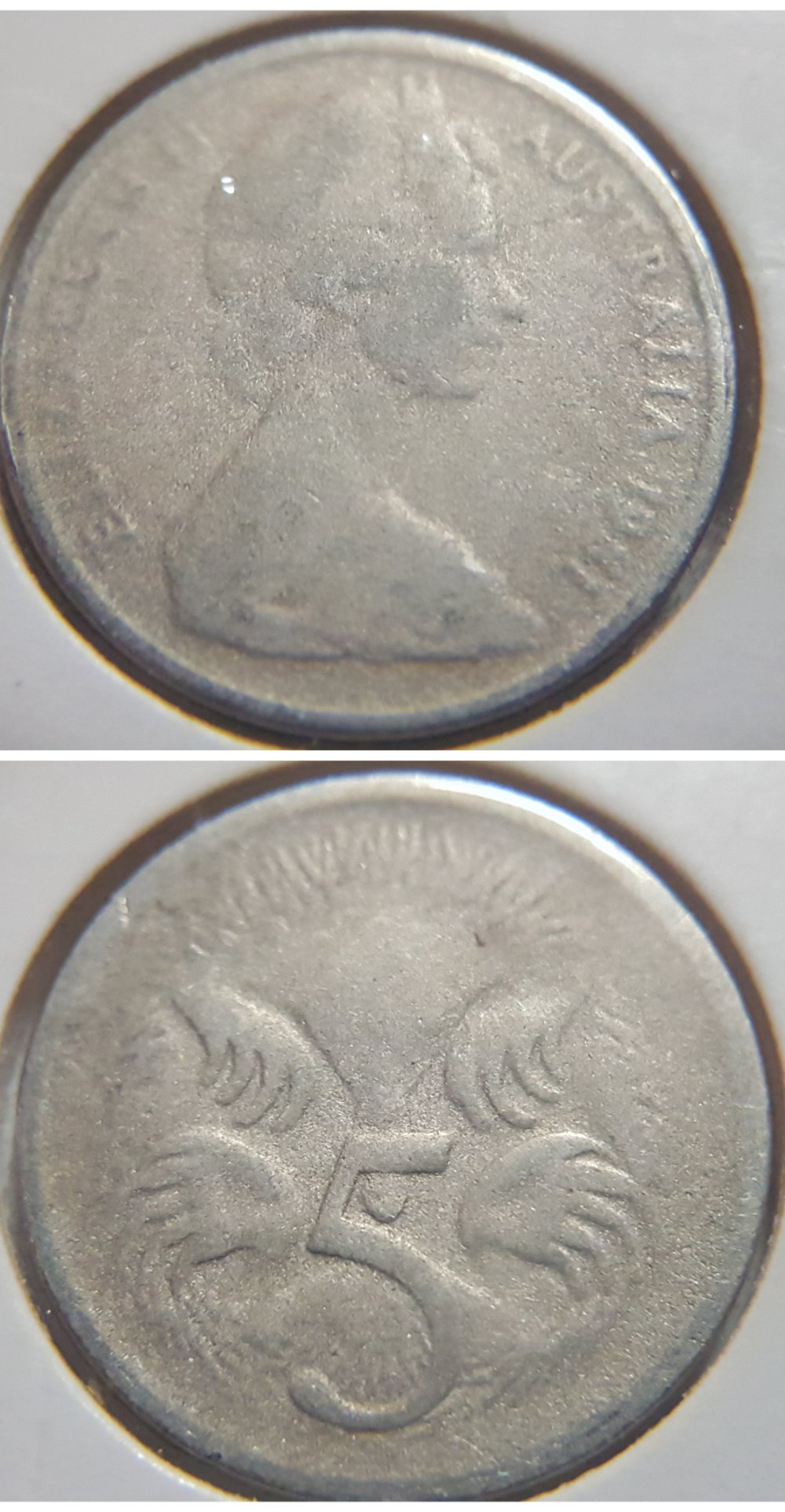 Post-Your-Australian-Circulation-Finds