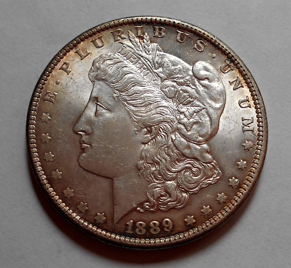 Both-Of-These-Morgans-Look-Odd-To-Me.-Opinions-Please.