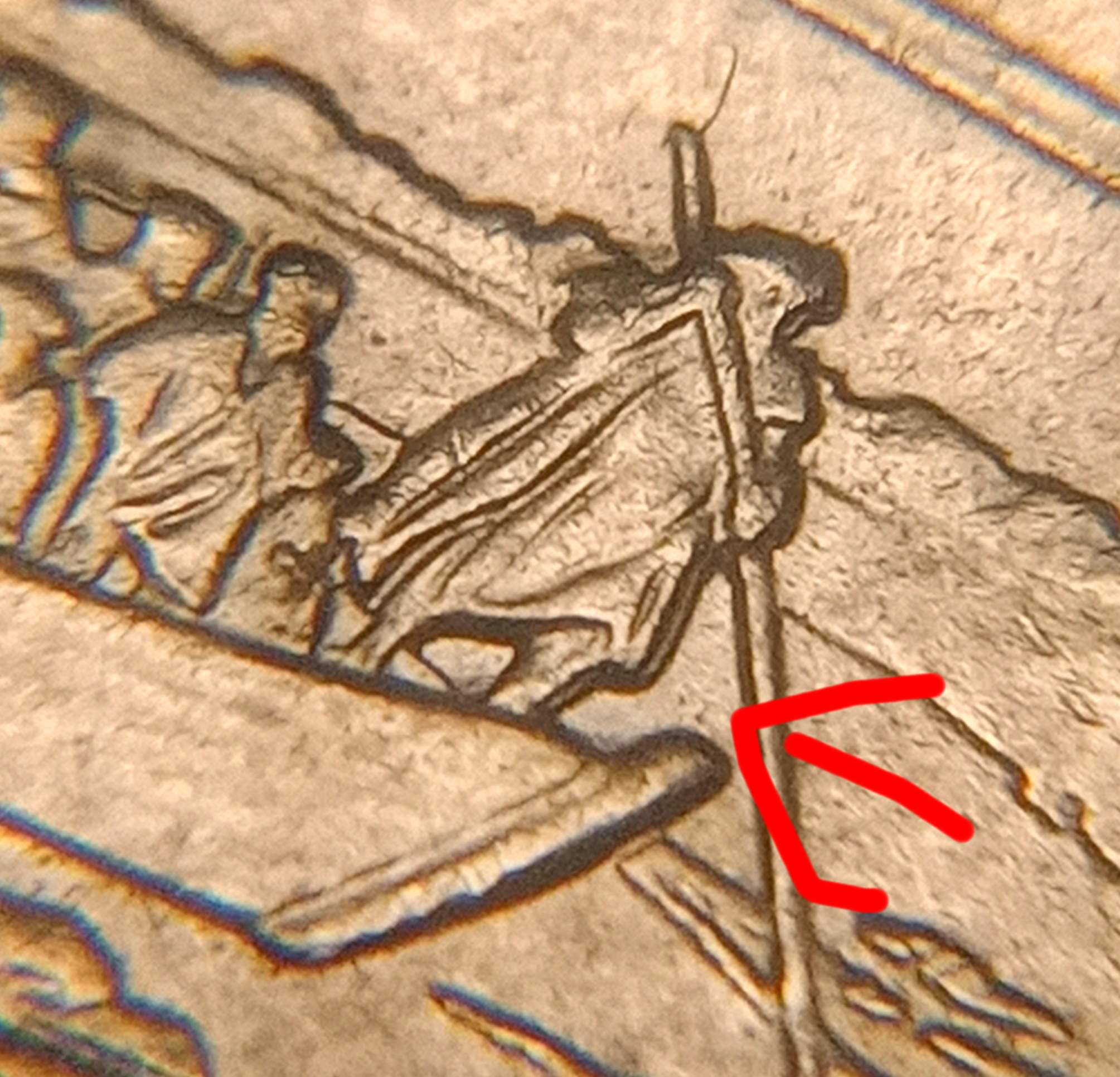 I-Found-Two-2021-Quarters-With-DD-On-Reverse-Side