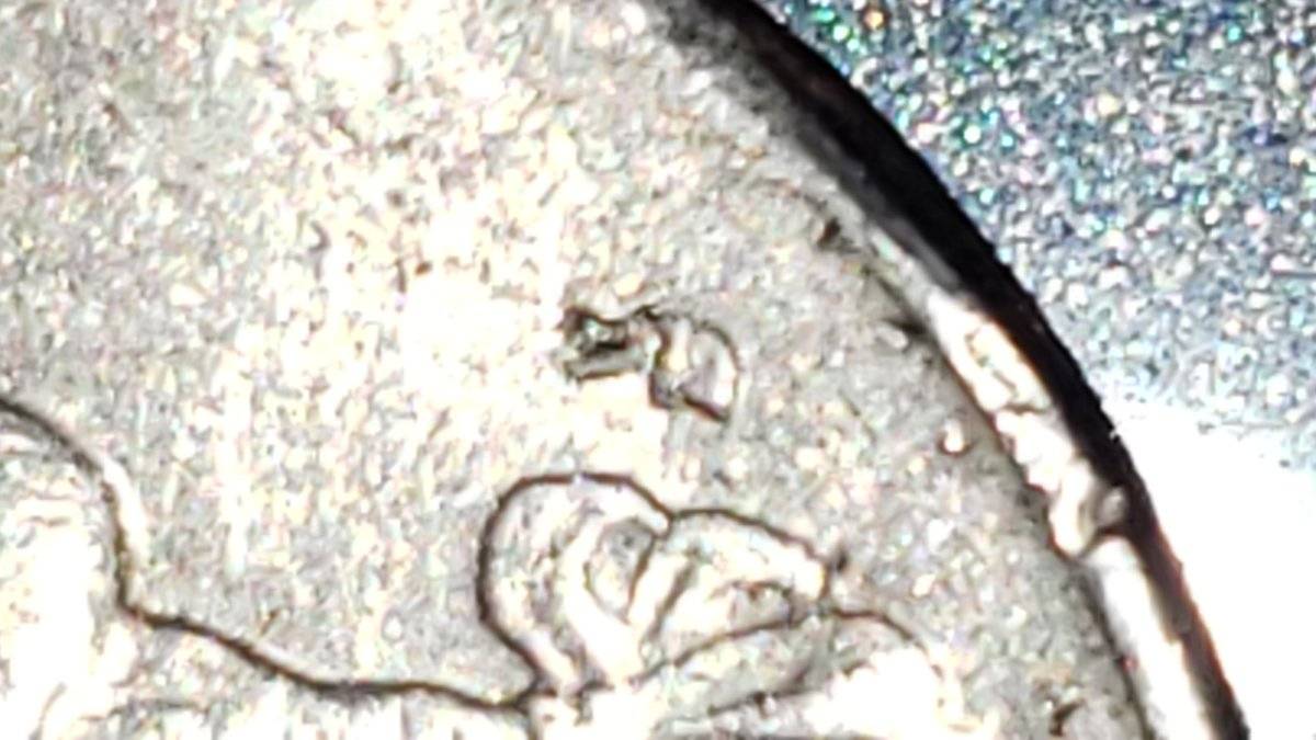 2-Multiple-Error-1980-Quarters-Please-Help-Are-These-Worth-Anything?