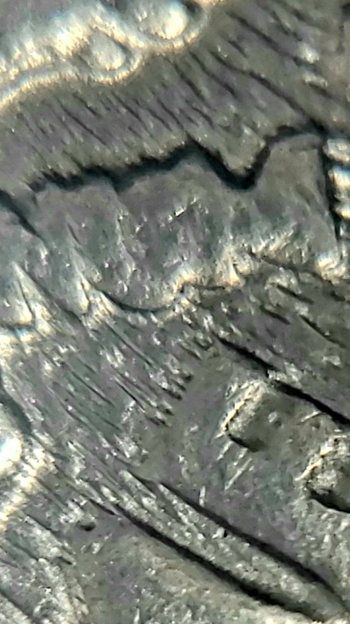 1981-P-Dime-Error?-Looks-Like-Extra-Leaf-Vein-Or-Stem-Ontop-Of-Leaf